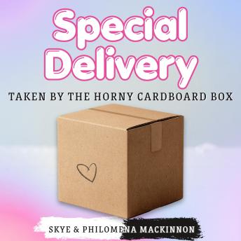 Special Delivery: Taken by the Horny Cardboard Box