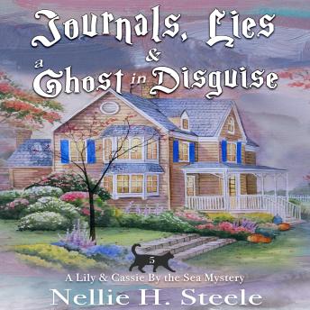 Journals, Lies & a Ghost in Disguise