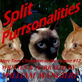 Split Purrsonalities