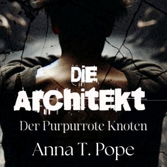 [German] - Die Architekt: Eine düstere, langsam entflammende MM-Romanze voller BDSM-Spannung
