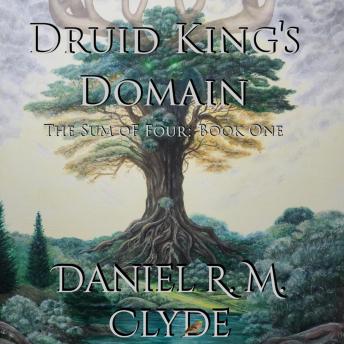 Druid King's Domain: An Epic Fantasy of Deities, Assassins, and Ancient Magic