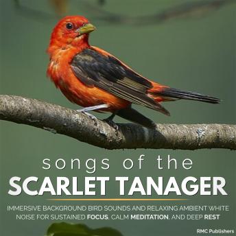 Songs of the Scarlet Tanager: Immersive Background Bird Sounds and Relaxing Ambient White Noise for Sustained Focus, Calm Meditation, and Deep Rest