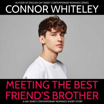 Meeting The Best Friend's Brother: A Gay Sweet Contemporary Romance Short Story