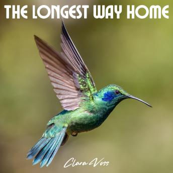 The Longest Way Home: A Hummingbird's Journey Across a Continent