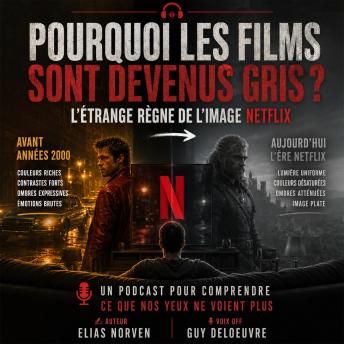 [French] - Pourquoi les films sont devenus gris ? L’étrange règne de l’image Netflix