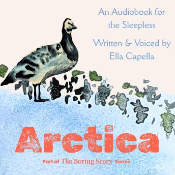 Arctica: For the Sleepless