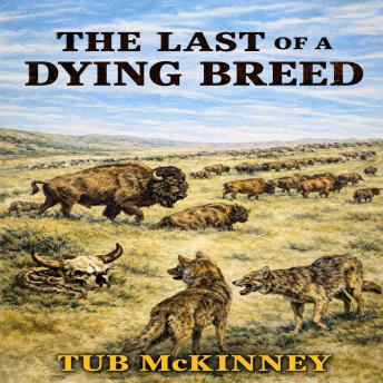 The Last of a Dying Breed: A Classic Western