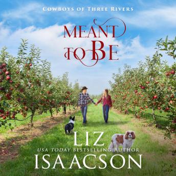 Meant to Be: A Sweet Small Town Single Dad Cowboy Romance