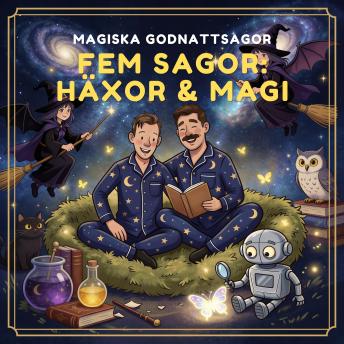 [Swedish] - Fem sagor: häxor & magi