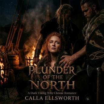 PLUNDER OF THE NORTH: A Dark Viking Why Choose Romance