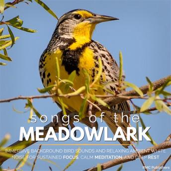 Songs of the Meadowlark: Immersive Background Bird Sounds and Relaxing Ambient White Noise for Sustained Focus, Calm Meditation, and Deep Rest
