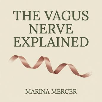 The Vagus Nerve Explained: A Plain-English Guide to What It Is and How to Calm Anxiety, Improve Digestion, and Sleep Better