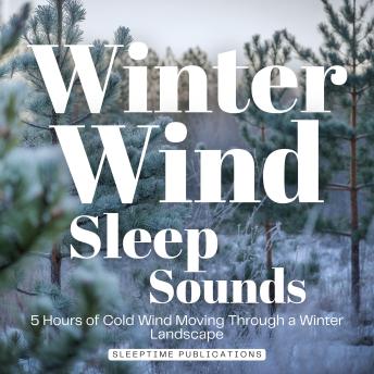 Winter Wind Sleep Sounds: 5 Hours of Cold Wind Moving Through a Winter Landscape