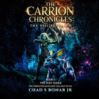 The Carrion Chronicles: The Veil Revealed Book 1: The Lost Souls