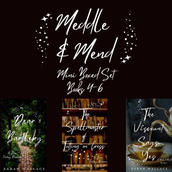 Meddle & Mend Mini Boxed Set 2: Books 4-6