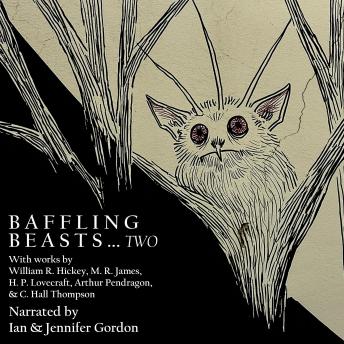 Baffling Beasts Two: More Weird and Mystifying Creatures