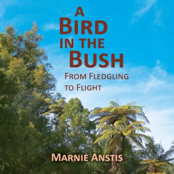 A Bird in the Bush: From Fledgling to Flight: Stories from a Farming Life in the Pakihi Valley
