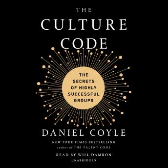 Culture Code: The Secrets of Highly Successful Groups, Daniel Coyle