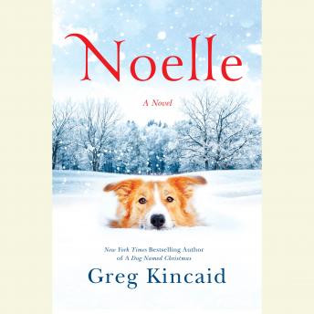 Noelle: A Novel