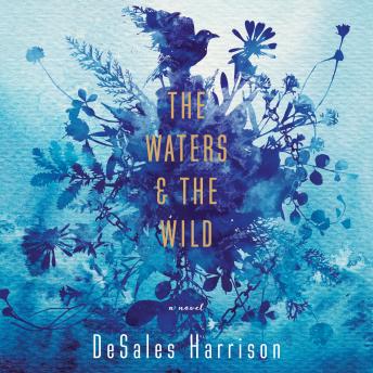 The Waters & The Wild: A Novel