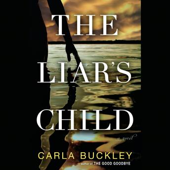 The Liar's Child: A Novel