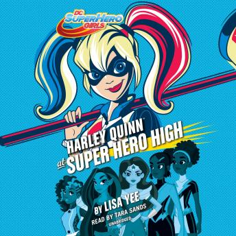Harley Quinn at Super Hero High (DC Super Hero Girls) sample.