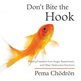 Download Don't Bite the Hook: Finding Freedom from Anger, Resentment, and Other Destructive Emotions by Pema Chödrön