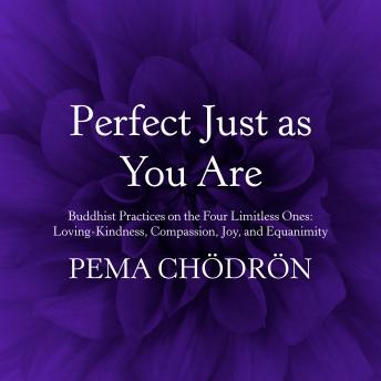 Perfect Just as You Are: Buddhist Practices on the Four Limitless Ones: Loving-Kindness, Compassion, Joy, and Equanimity, Audio book by Pema Chödrön