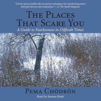 Download Places That Scare You: A Guide to Fearlessness in Difficult Times by Pema Chödrön