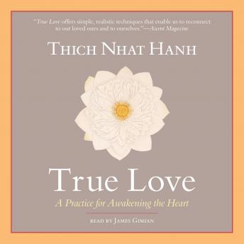 True Love: A Practice for Awakening the Heart sample.