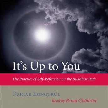 It's Up to You: The Practice of Self-Reflection on the Buddhist Path, Dzigar Kongtrul