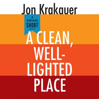 Download Clean, Well-Lighted Place by Jon Krakauer