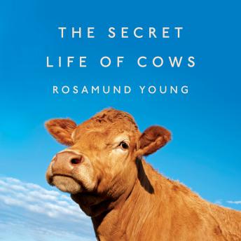 Download Secret Life of Cows by Rosamund Young