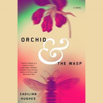 Orchid and the Wasp: A Novel