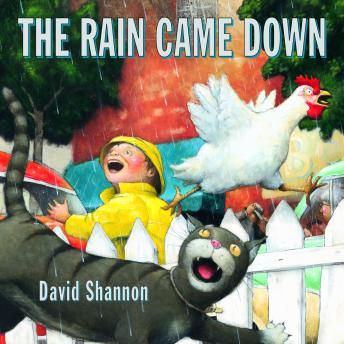 Listen The Rain Came Down By David Shannon Audiobook audiobook