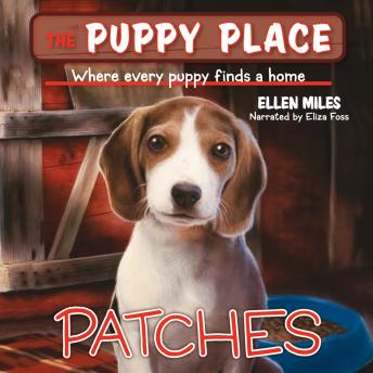 Patches (The Puppy Place #8): Puppy Place:#8 Patches Digital Download