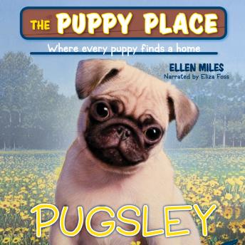 Pugsley (The Puppy Place #9): Puppy Place:#9 Pugsley Digital Download