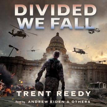 Divided We Fall (Divided We Fall, Book 1)