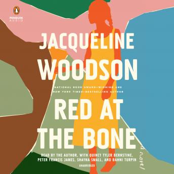 Red at the Bone: A Novel sample.