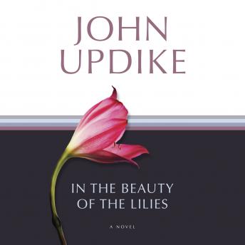 In the Beauty of the Lilies: A Novel
