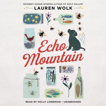 Get Best Audiobooks Kids Echo Mountain by Lauren Wolk Free Audiobooks Kids free audiobooks and podcast