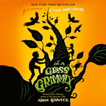 Listen Best Audiobooks Kids In a Glass Grimmly by Adam Gidwitz Free Audiobooks for iPhone Kids free audiobooks and podcast