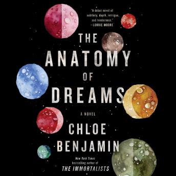 The Anatomy of Dreams: A Novel
