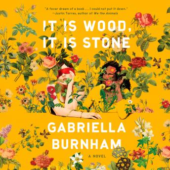 It Is Wood, It Is Stone: A Novel