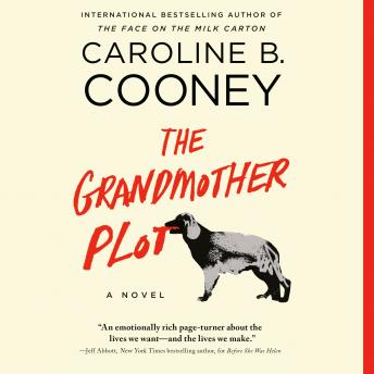 The Grandmother Plot: A Novel