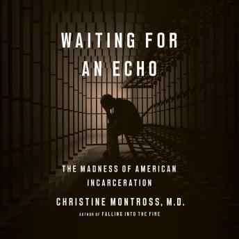 Download Waiting for an Echo: The Madness of American Incarceration by Christine Montross