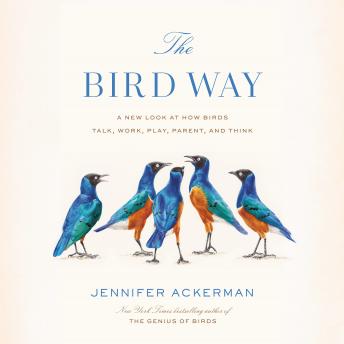 Bird Way: A New Look at How Birds Talk, Work, Play, Parent, and Think sample.