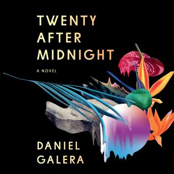 Twenty After Midnight: A Novel, Audio book by Daniel Galera