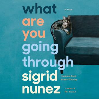 What Are You Going Through: A Novel