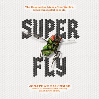 Super Fly: The Unexpected Lives of the World's Most Successful Insects, Jonathan Balcombe